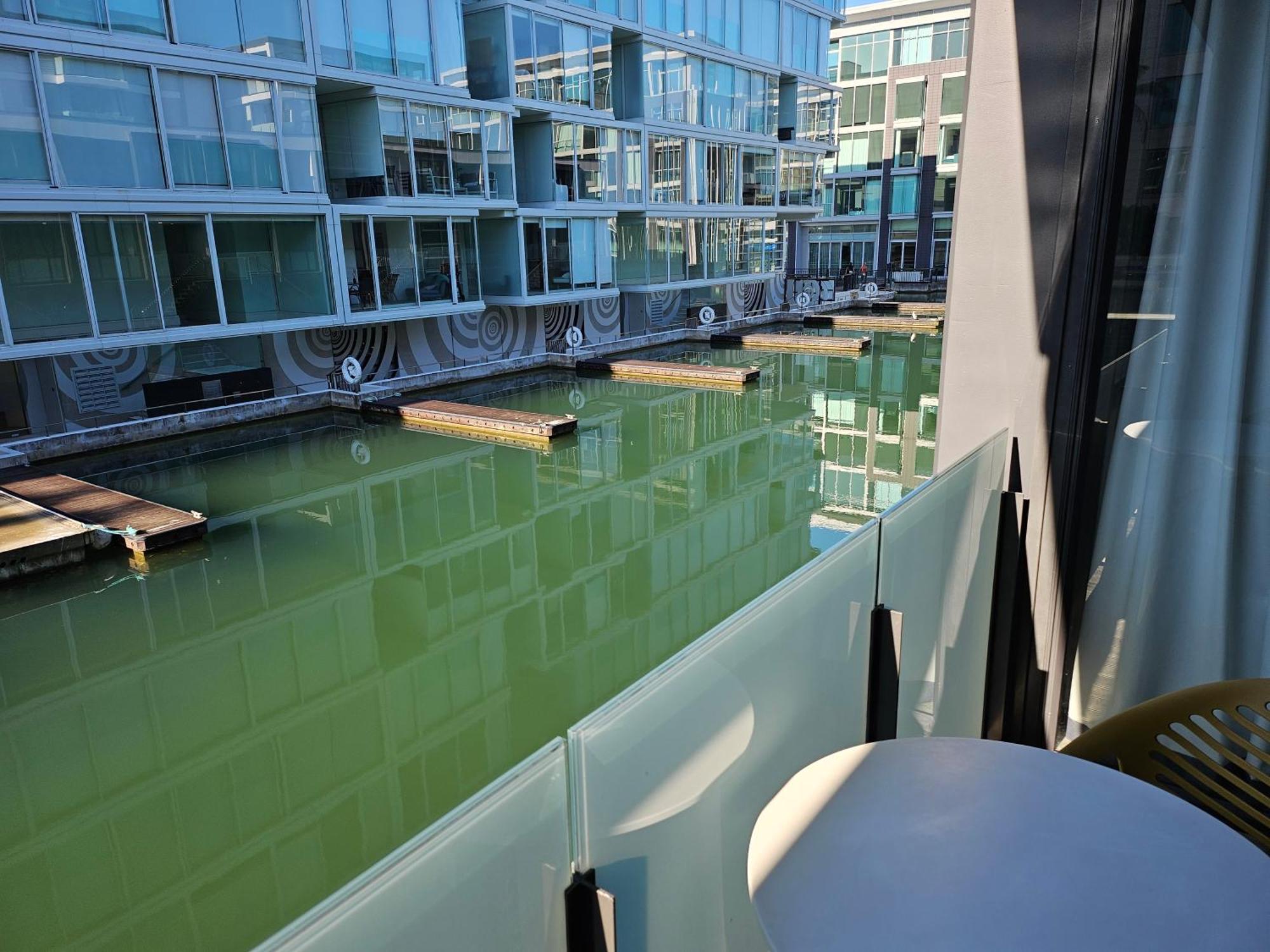 Pavilions Marina Apartment 102 - Wynyard Quarter Viaduct Harbour Auckland Bagian luar foto